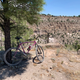 Illustration for article titled Vintage Trek 8000 Mullet Rigid Singlespeed Build Complete